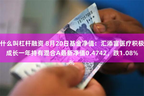 什么叫杠杆融资 8月20日基金净值：汇添富医疗积极成长一年持有混合A最新净值0.4742，跌1.08%