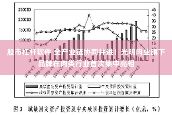 股市杠杆软件 全产业链协同并进！光明肉业旗下品牌在肉类行业首次集中亮相