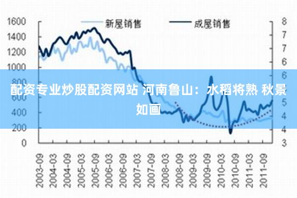 配资专业炒股配资网站 河南鲁山：水稻将熟 秋景如画