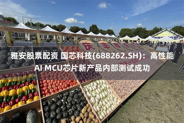 雅安股票配资 国芯科技(688262.SH)：高性能AI MCU芯片新产品内部测试成功