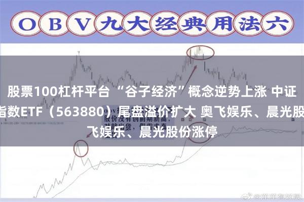 股票100杠杆平台 “谷子经济”概念逆势上涨 中证A500指数ETF（563880）尾盘溢价扩大 奥飞娱乐、晨光股份涨停