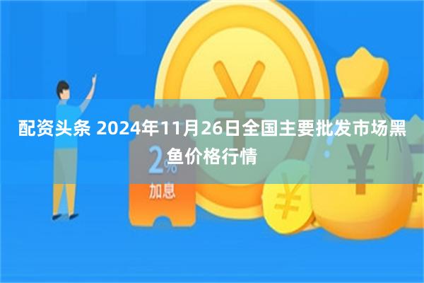 配资头条 2024年11月26日全国主要批发市场黑鱼价格行情