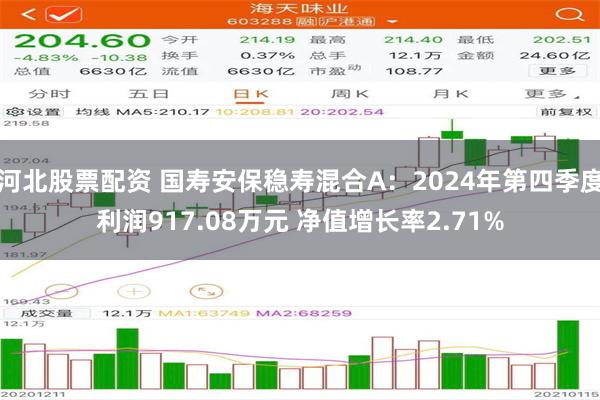 河北股票配资 国寿安保稳寿混合A：2024年第四季度利润917.08万元 净值增长率2.71%