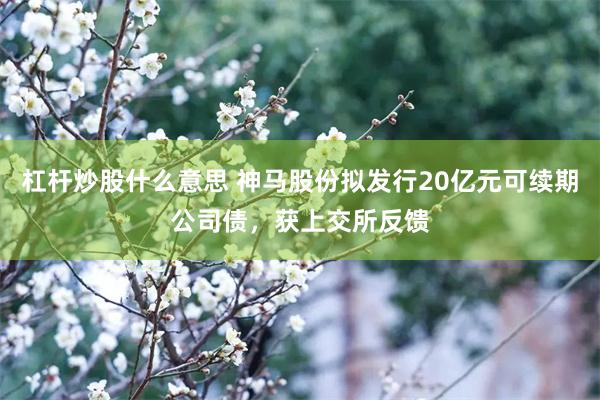 杠杆炒股什么意思 神马股份拟发行20亿元可续期公司债，获上交所反馈