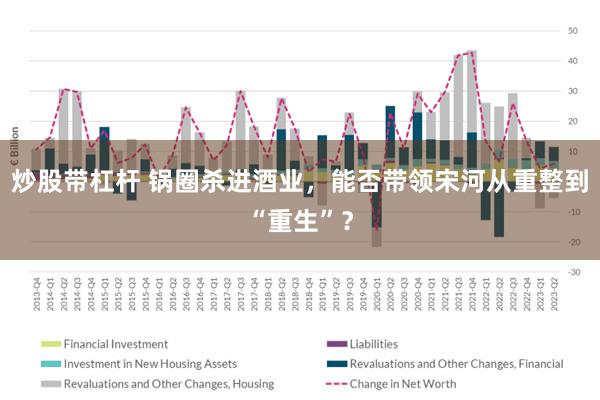 炒股带杠杆 锅圈杀进酒业，能否带领宋河从重整到“重生”？